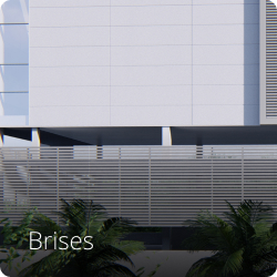 Brises